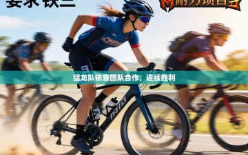 猛龙队依靠团队合作，连续胜利