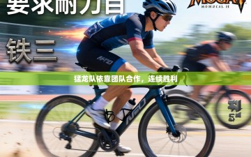 猛龙队依靠团队合作，连续胜利